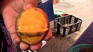 preview picture of video 'Borneo Fruits-Asam Kumbang (Mangifera quadrifida Jack)'