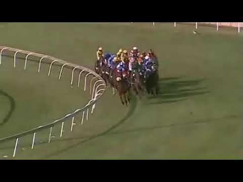 HAT PUNTANO - 2017 Emperors Palace Charity Mile winner