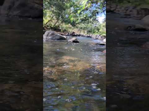 Refrescantes aguas del río "El Riyon" en Tecoluca, San Vicente, El Salvador 🏞️🇸🇻 #nature #elsalvador