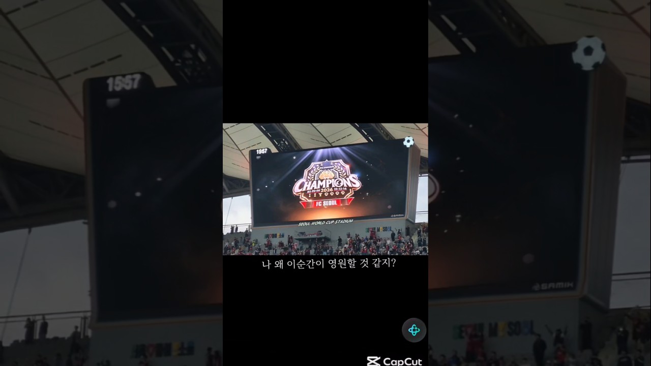 이 순간이 영원하다 #FC서울 #축구 #우승 #K리그 #챔피언