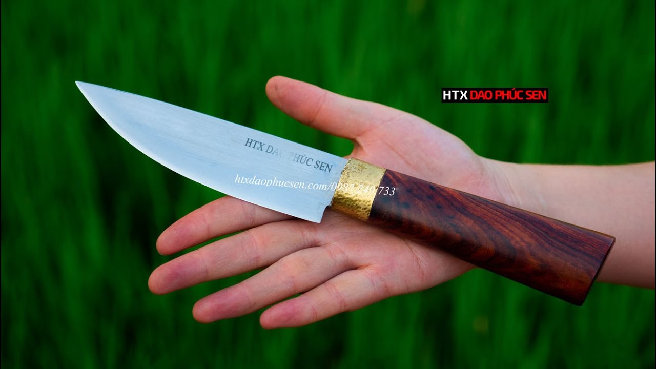 Dao lọc thịt DL09