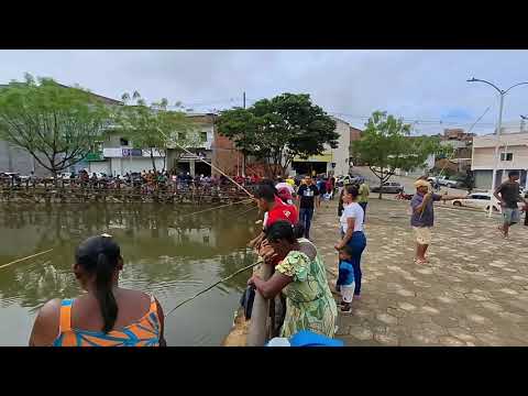 Prefeito de trancredos Neves bahia .manda a população. Se quiser peixe que vão  pescar.veja