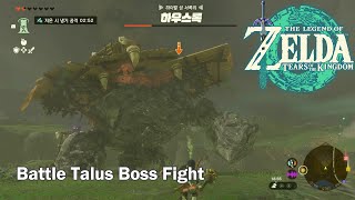 Battle Talus BOSS FIGHT The Legend of Zelda: Tears of the Kingdom