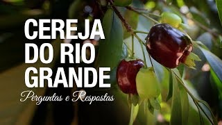 Miniatura do vídeo