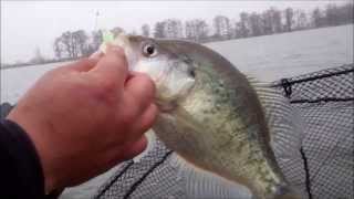 preview picture of video 'Crappie Fishing Reelfoot Lake'