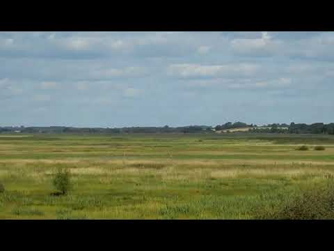 Nikon P 900 test zoom. Goniądz nad Biebrzą