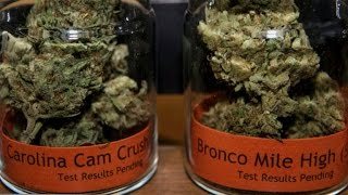 San Francisco marijuana shops sell Super Bowl-themed pot