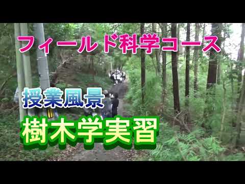 【フィールド科学コース】授業風景（樹木学実習）