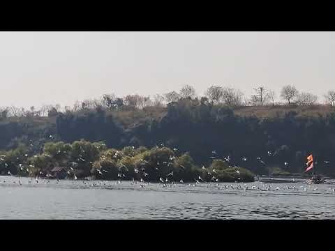 NARMADA RIVER # BARGI DAM ❤️❤️GWARIGHAT  # NATURE # BEACH # TRAVEL ❤️  #MOUNTAINS # BHEDAGHAT