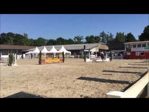 COLLINCOR: stallion by Contendro Cornet Obolensky, www.equine-evolution.com