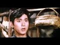 The Hero Aka Rage Of The Master 威震四方 1972