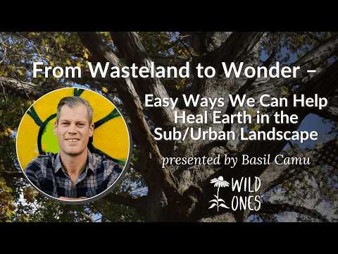 From Wasteland to Wonder – Easy Ways We Can Help Heal Earth in the Sub/Urban Landscape