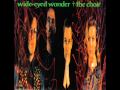 The Choir - 9 - Behind That Locked Door - Wide-Eyed Wonder (1989)