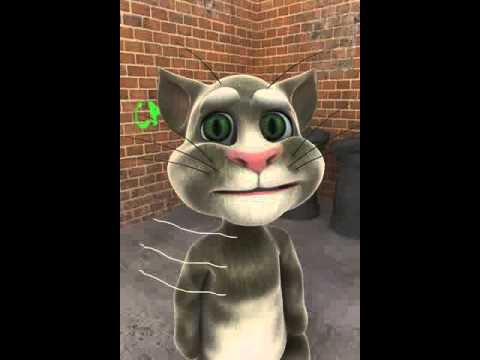 Talking Tom asking for cake from Haroon