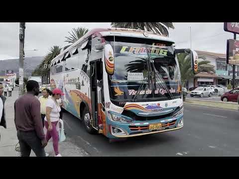 80 Cent Bus From Otavalo to Ibarra | Ecuador Transit & Grocery Logistics