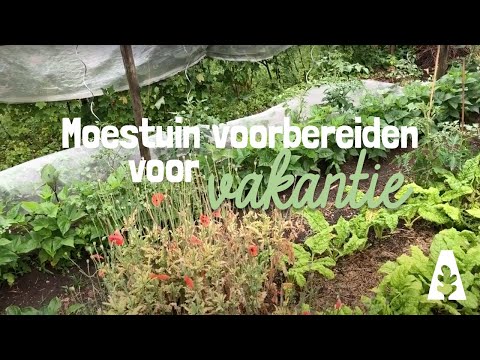 Urban Gardening - Preparing Your Vegetable Garden for Vacation