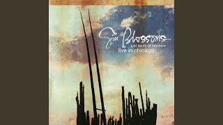 Hold Me Down (Live at the Metro)