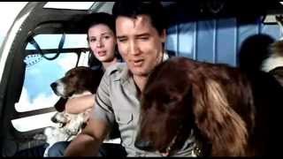 Elvis Presley - Paradise, Hawaiian Style