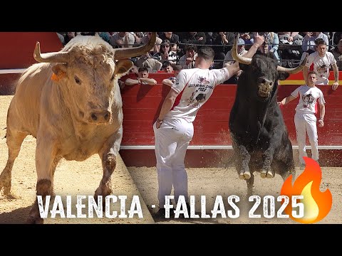 🏆 VALENCIA 2025 · 🔥 CUTTERS WITH BRAVE BULLS AT FALLAS