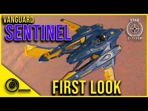 Vanguard Sentinel | First Look | Star Citizen 3.7 PTU