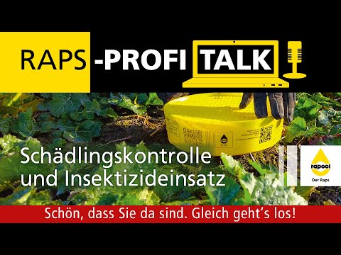 Raps-Profi-Talk 2022: Schädlingskontrolle und Insektizideinsatz