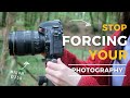 Stop FORCING and start ALLOWING your photography. (+ Woodland Photography)