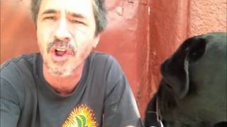 Bad dog owner with Vegan Dog, Vegan unhealthy for K9......... Peter Caine Brooklyn dog training