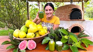 Não é só fruta, a goiabeira pode ser a solução que você precisa!
