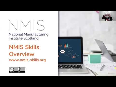 Overview of NMIS Skills
