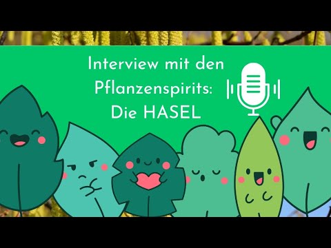 Interview mit den Pflanzenspirits: Die HASEL