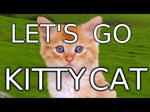 Let's Go Kitty Cat!