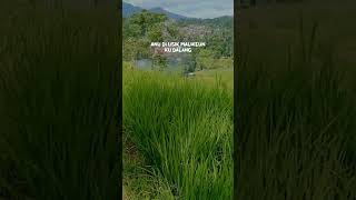 Download lagu Kudu ikhlas,sabar jng bersyukur intina mah😊#youtubeshorts#shortvideo#shorts#quotes#sunda#story mp3