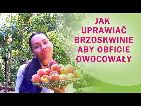 Skrzynia włosów u kobiet. leczenie Przepisy babci Agafia maska do włosów kąpieli