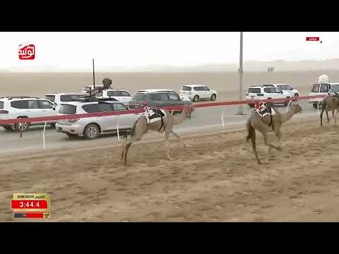 ش 9 (الظبي) لـ عبدالله ناصر بن هدوب العمري 6:14:88 ، مهرجان العين 2026/08/06 إيذاع الروضة