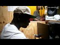 FRANKIE PAUL ALESHA  ( R.I.P ) - DUBHIGHCUT Reggae and Dancehall Dubplate FRANKIE PAUL ALESHA  ( R.I.P )