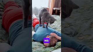 Download lagu He gets the best massage service in the world #cat #funnymoments #catlovers #catvideos mp3