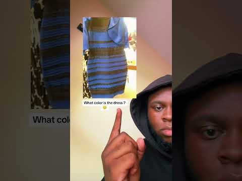 Let’s settle this once & for all 😭‼️#shorts