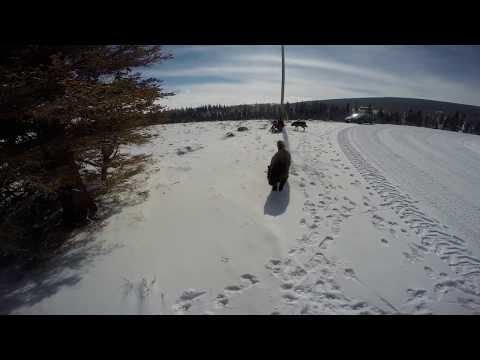 Point 10,182' with Drisana, Goosebump and Lunchbox