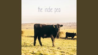 The Indie Pea - Sunrise Romance video