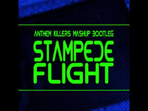 Dimitri Vegas & Like Mike vs Merzo vs Steve Aoki & R3hab - Stampede Flight (Anthem Killers Mashup)