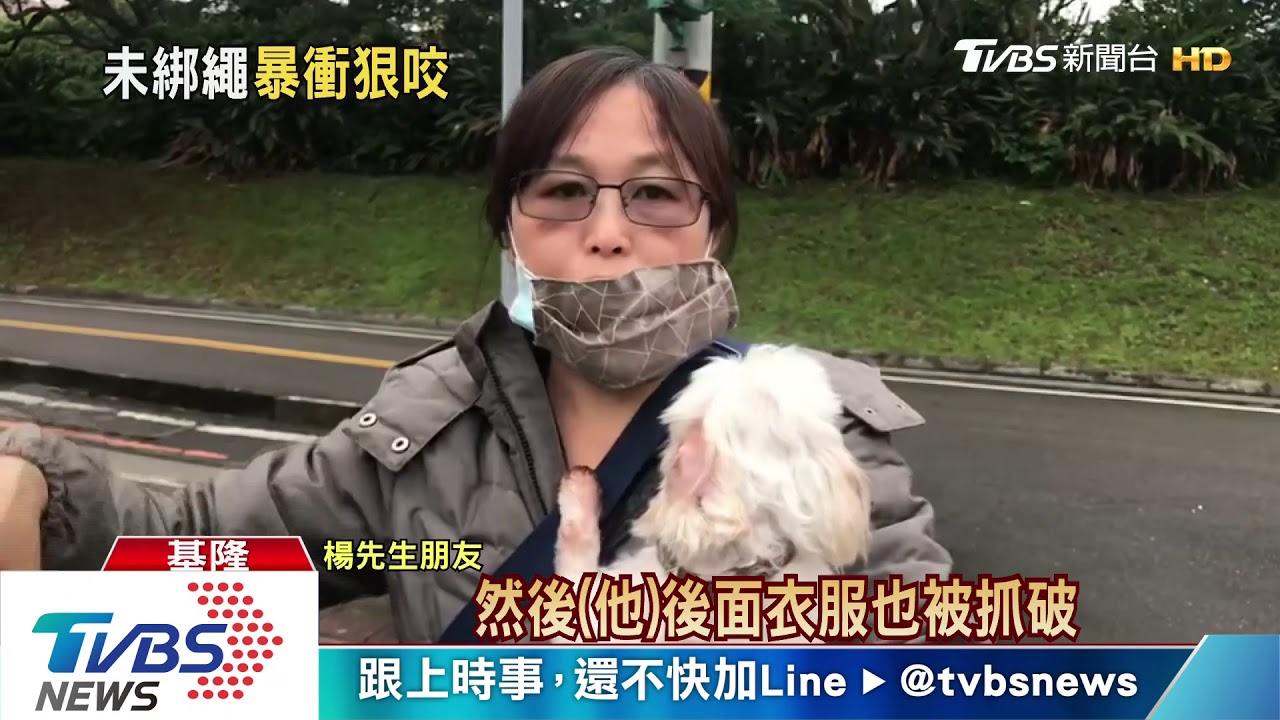 潮境公園遛狗　頭、眼皮慘遭狼犬啃縫14針