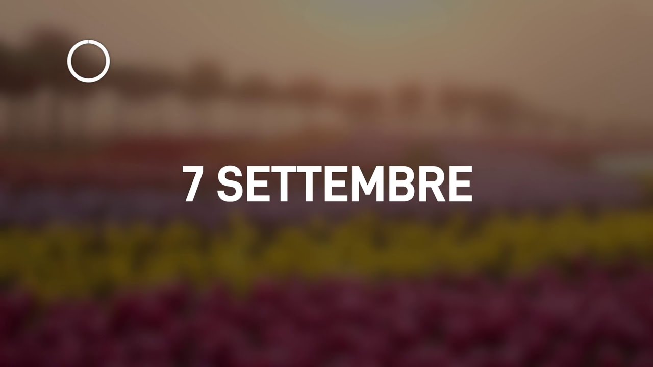 07 Settembre 2024 | Meditazione Parole di Vita