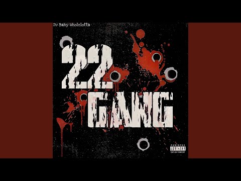 22 Gang