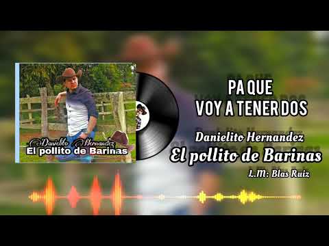 pa que voy a tener dos - el pollito de Barinas| música llanera| llaneras | joropo llanero