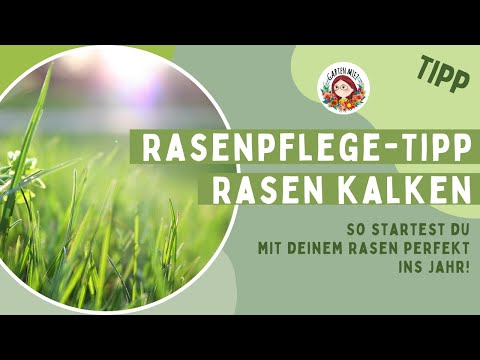 Garten Miez and RASENDOKTOR