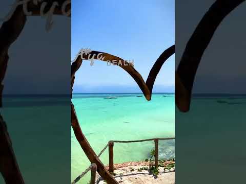 Aya Beach Resort - Zanzibar 🌴 #shorts #short #shortvideo #shortsvideo