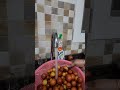 Elantha Palam Tamil Tamilnadu Tamilnews Shortsyoutube Viral Shortsyoutube Shortvideo Mangoj