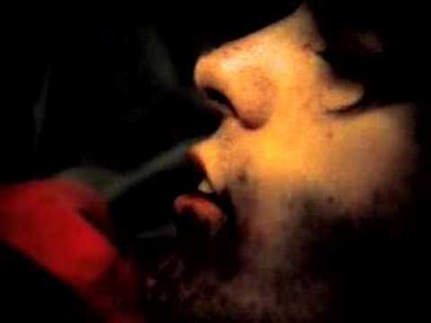 THE STEREO FUTURE - "Antarctica"