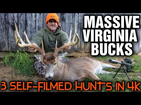 Epic Deer Hunting in Virginia: 23-Inch Wide Monster, Rutted Mountain Brute, and a Doe at 395 Yards