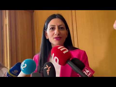 ՄԻՊ-ը՝ Վեհափառի հետ կապված միջադեպի մասին